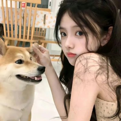 马达加斯加2：逃往非洲