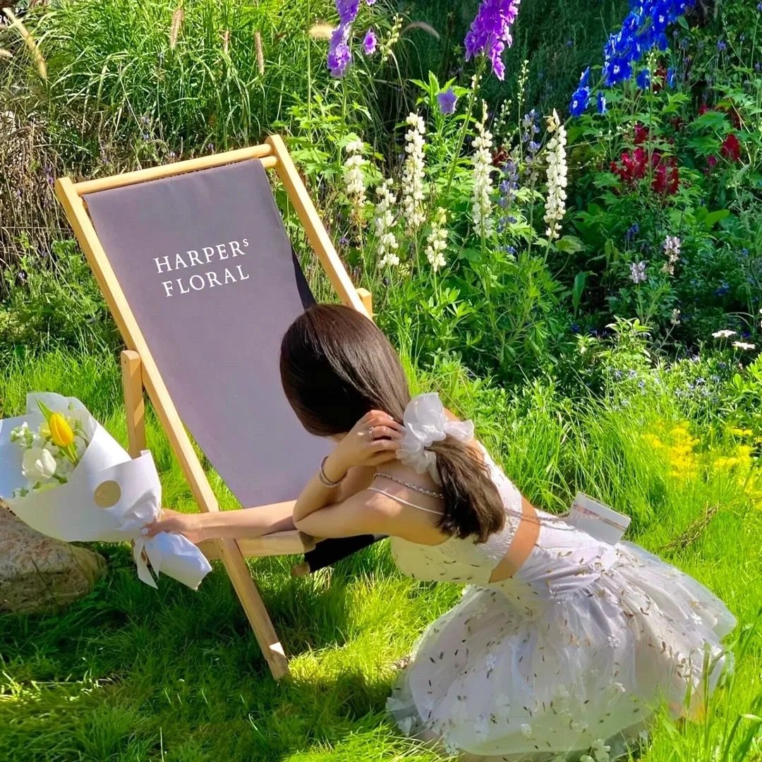 红尘囧探刘小唐2